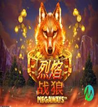 支持多种支付方式